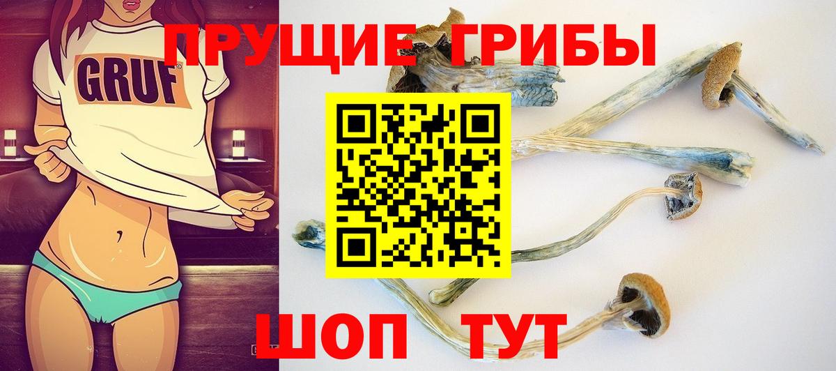 Галлюциногенные грибы Cubensis Михайловск