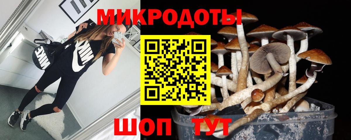 Михайловск  Псилоцибиновые грибы MAGIC MUSHROOMS  Вход с VPN 